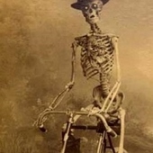 User avatar for Steve Feeney