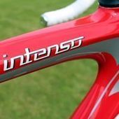 User avatar for Sigi Leo