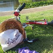 User avatar for Polly Kornie