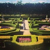 User avatar for Courtney Madden