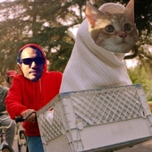 User avatar for Preston Peachey