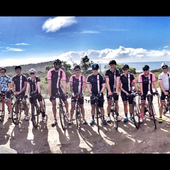 User avatar for Niki Clark