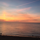 User avatar for Stewart Williams