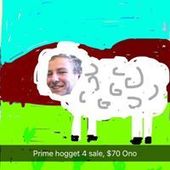 User avatar for Elle Perriam