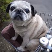 User avatar for Zayd Coster