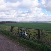 User avatar for Adrian Trowbridge