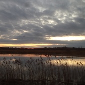 User avatar for Rachel Alcock Hodgson