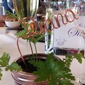 User avatar for Diana Winter