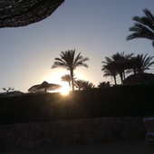 User avatar for Jackie Grace