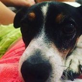 User avatar for Michelle Jones