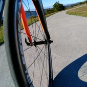 User avatar for Chris Kelly