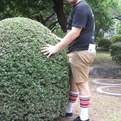 User avatar for Stuart Bailey