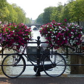 User avatar for Janelle Wells