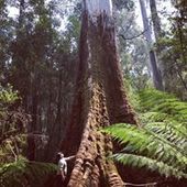 User avatar for Gwilym Griffiths