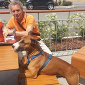 User avatar for Alfonso Costa