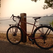 User avatar for Amari Fauna