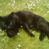 User avatar for Frederic Lannoo