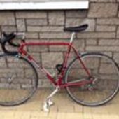 User avatar for Brian Main