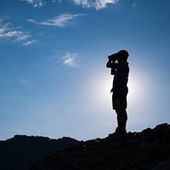 User avatar for David Somach