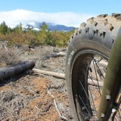 User avatar for Andy Cameron