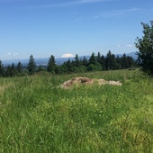 User avatar for Robert Sadowsky