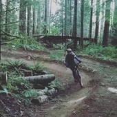 User avatar for Amanda Mesick