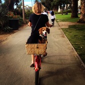 User avatar for Alison Jordan