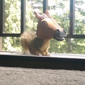 User avatar for Billy Kennemer