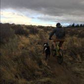 User avatar for Matthew Grzegorzewski