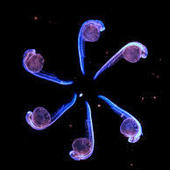 User avatar for Dayna Lamb