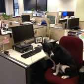 User avatar for Catherine Corbett