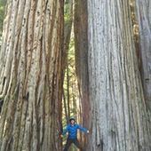 User avatar for Chris Sefkin