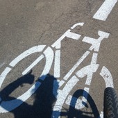 User avatar for Lori Davidson