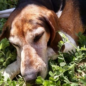 User avatar for Mimi Petersen