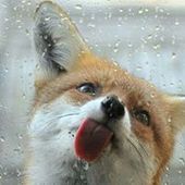 User avatar for Ashleigh Bravo