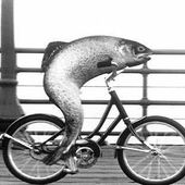 User avatar for Steve Stone