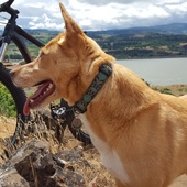 User avatar for Mark Person