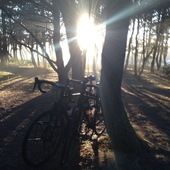 User avatar for Lori Woltring