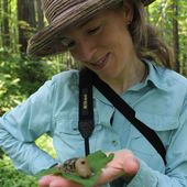 User avatar for Sheilagh Diez