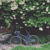 User avatar for Emma Jones