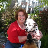 User avatar for Joanne Bengtson