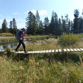 User avatar for Lauren Williams