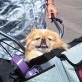 User avatar for Kathryn Karr