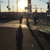 User avatar for armando luna