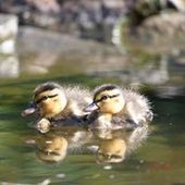 User avatar for Christine Sweetman