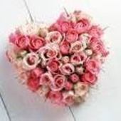 User avatar for Jayne Foy