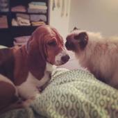 User avatar for Brendan Kelly