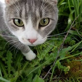 User avatar for Katie Johncock