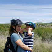 User avatar for Annie Pomeranz