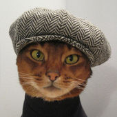 User avatar for Ty Chance